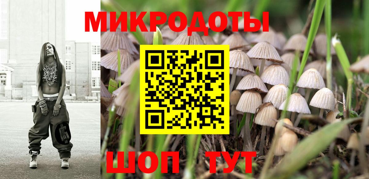 Борисоглебск  Псилоцибиновые грибы мухоморы  Вход с VPN 